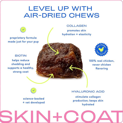 Native Pet Omega Skin & Coat Chews for Dogs - 30 Soft Chews with Omega-3 Fish Oil & Wild-Caught Salmon Oil for Healthy, Shiny Fur & Reduced Shedding
