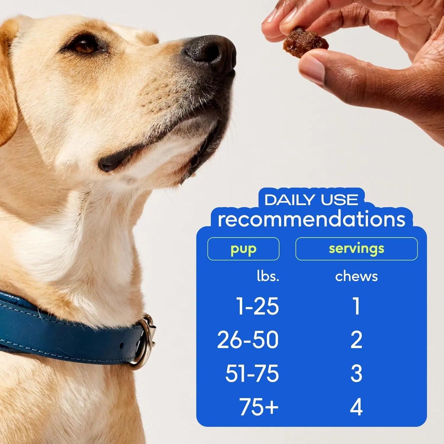 Native Pet Omega Skin & Coat Chews for Dogs - 30 Soft Chews with Omega-3 Fish Oil & Wild-Caught Salmon Oil for Healthy, Shiny Fur & Reduced Shedding