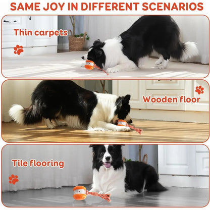 Interactive Dog Ball, Random Path Electric Automatic Moving and Rolling Dog Toy with Rope for Small Medium Large Dogs, Motion-Activated Dog Stimulation Toy for Boredom Relief
